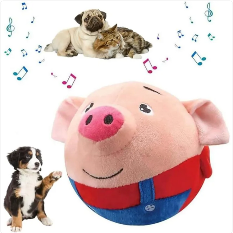 Animals & Pet Supplies