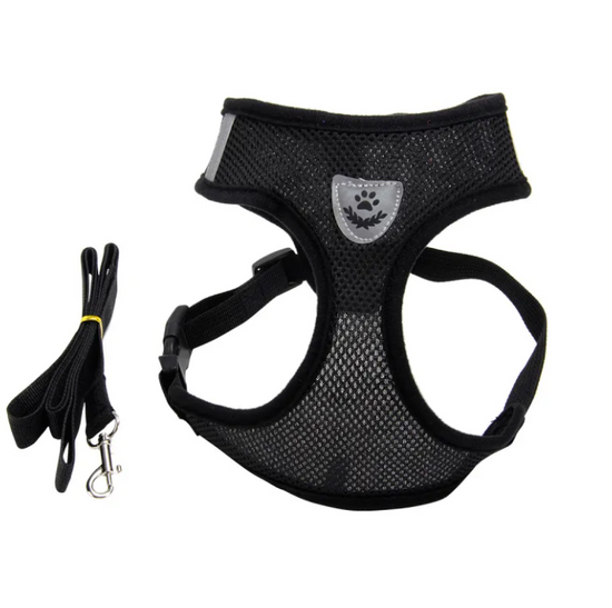 Arnés Premium para Perro