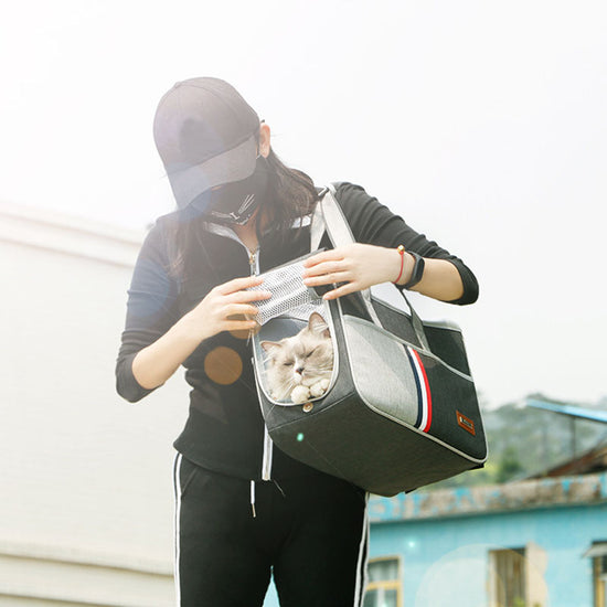 Mochila Transportadora para Gatos y Perros, Bolsa Transpirable